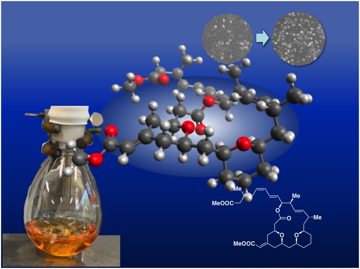 Mdp Course Pharmaceutical Sciences(Doctoral course)| 長崎大学大学院医歯薬学総合研究科